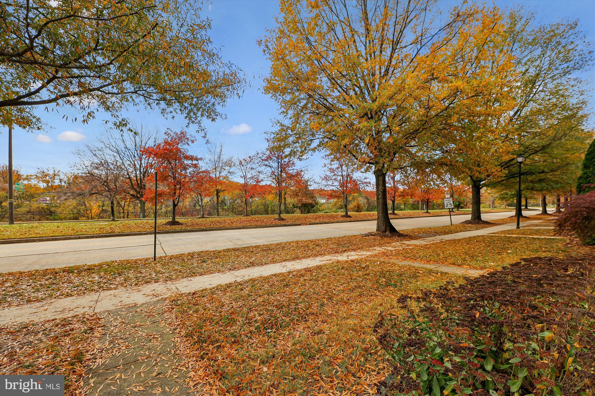 3811 Eisenhower Avenue Alexandria, VA 22304 - Photo 55 of 56 a view of road with large trees