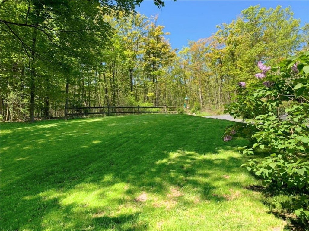 8805 Rocky Dock Road Covert, NY 14847 - Photo 6 of 50