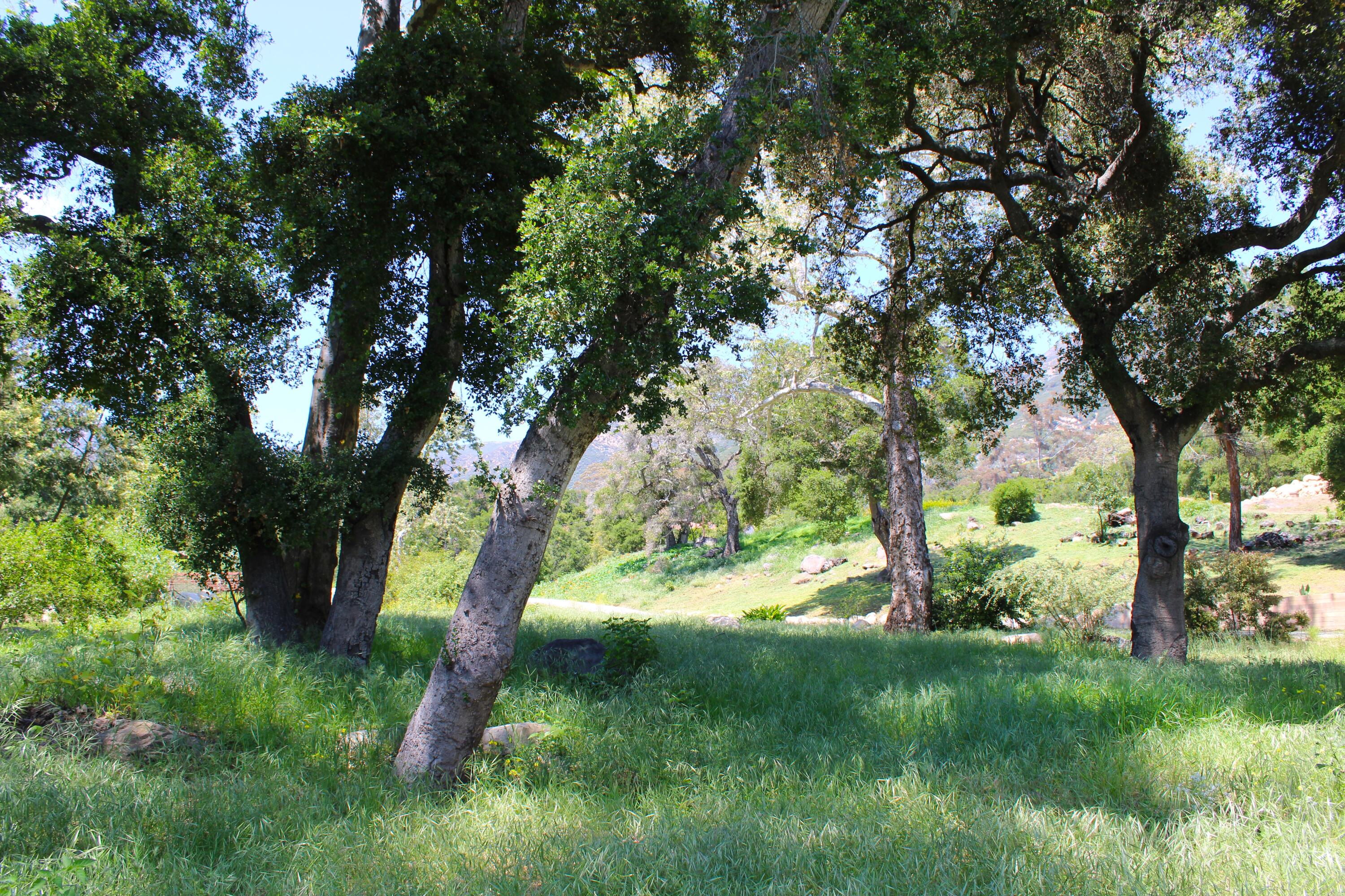 809 Ashley Road Montecito, CA 93108 - Photo 7 of 14 IMG_2399