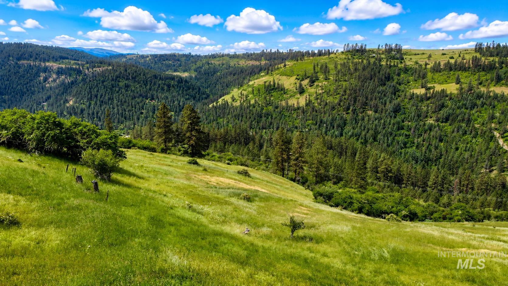 Tbd Wagonwheel Road Stites, ID 83552 - Photo 28 of 33