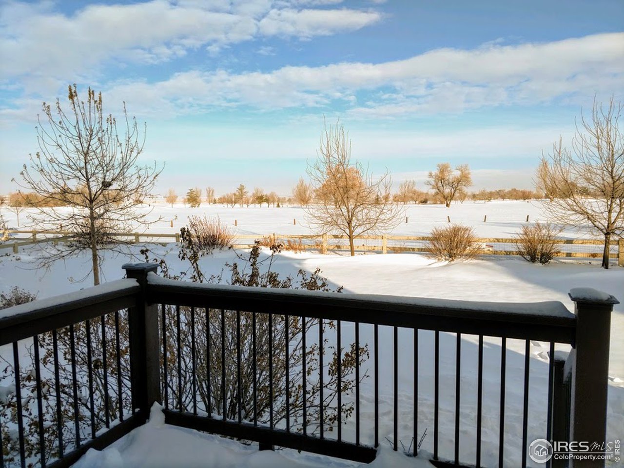 1465 Falcon Ridge Road Eaton, CO 80615 - Photo 3 of 40 Beautiful thru every season
