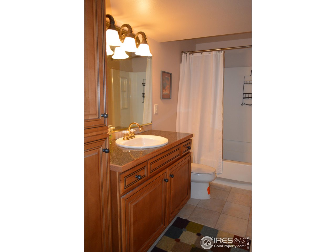 1465 Falcon Ridge Road Eaton, CO 80615 - Photo 39 of 40 3rd Full bath located in the basement