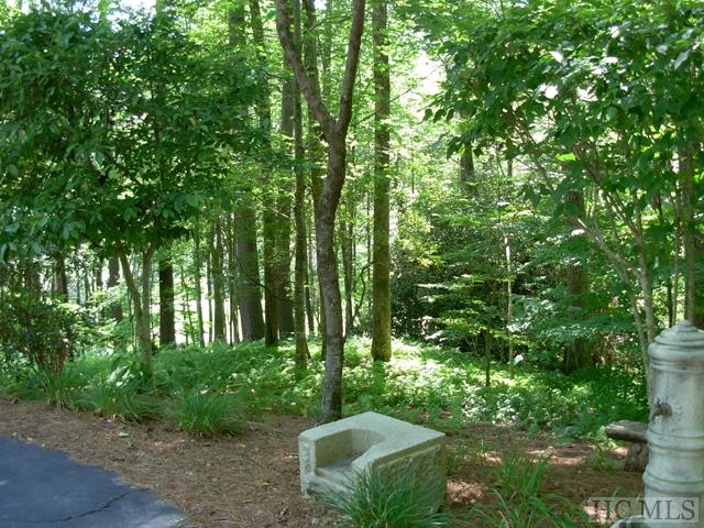 8 Leaning Tree Road Sapphire, NC 28774 - Photo 1 of 1 Gallery Image 1