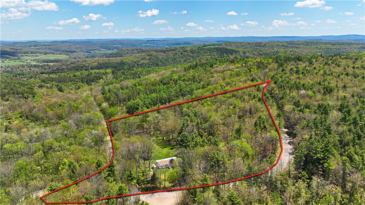480 Buckley Hill Road Coventry, NY 13730 - Photo 28 of 39