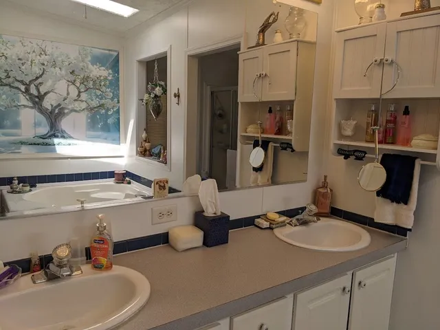 a bathroom with a sink double vanity and tub