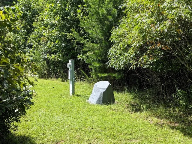 a backyard of a house with plants and trees