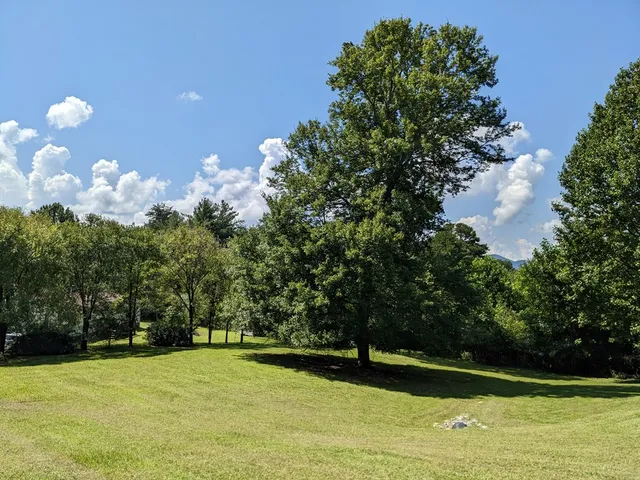 a view of a golf course with a lake