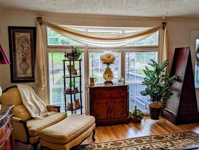 a living room with furniture flowerpot and a chandelier