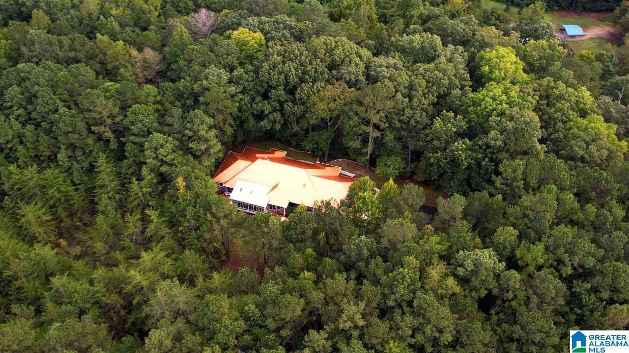 6791 Happy Hollow Road Trussville, AL 35173 - Photo 40 of 50
