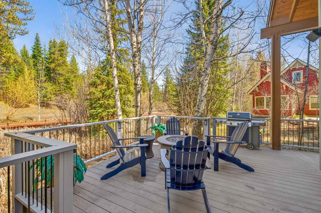 917 Camas Place McCall, ID 83638 - Photo 45 of 50