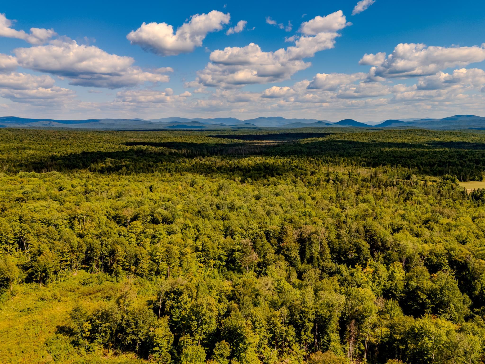 0 Henshaw Road Island Pond, VT 05846 - Photo 12 of 52