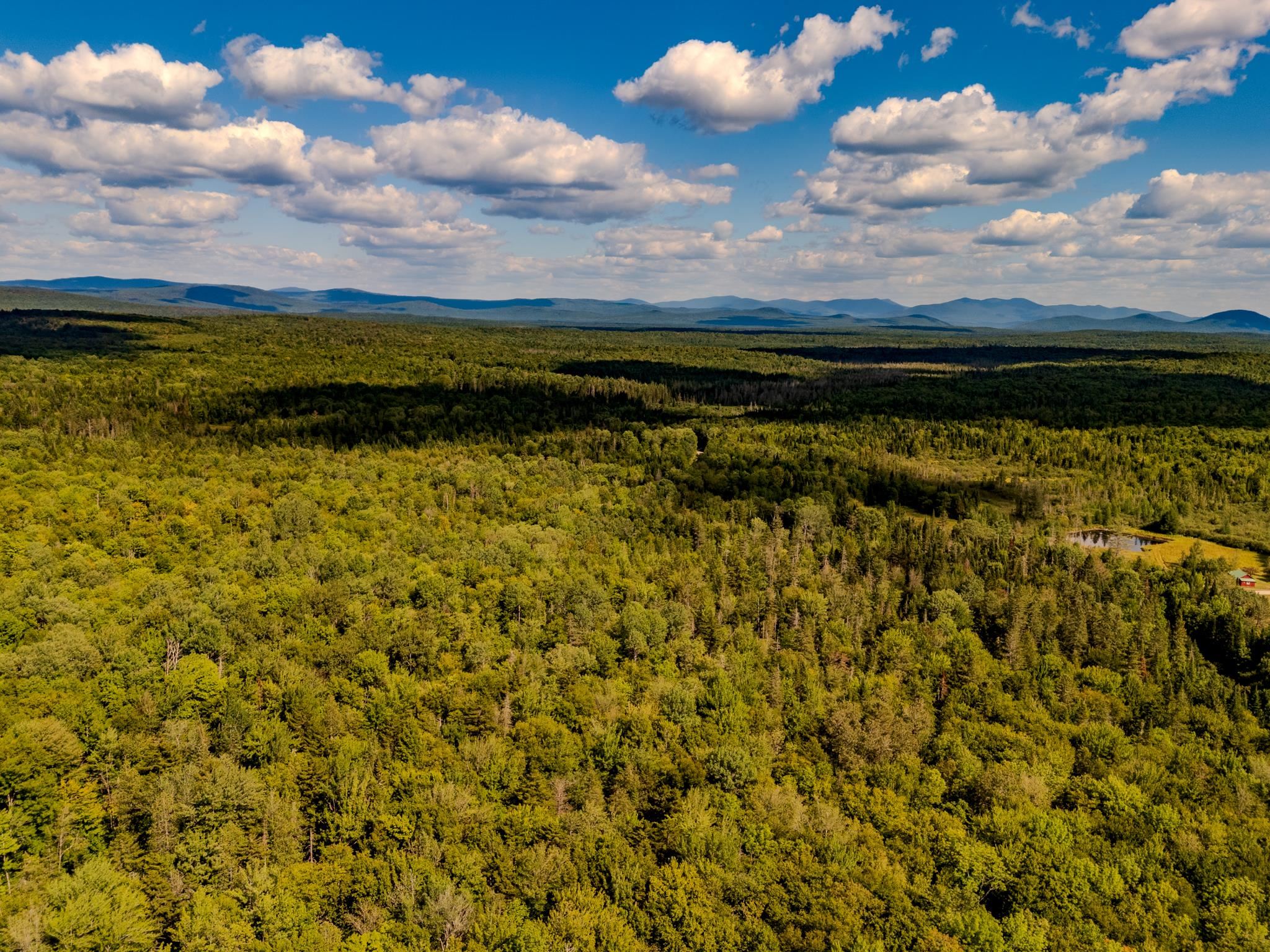0 Henshaw Road Island Pond, VT 05846 - Photo 14 of 52