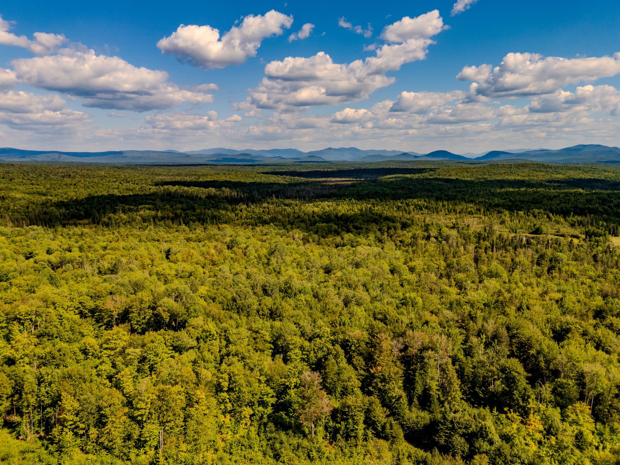 0 Henshaw Road Island Pond, VT 05846 - Photo 14 of 52