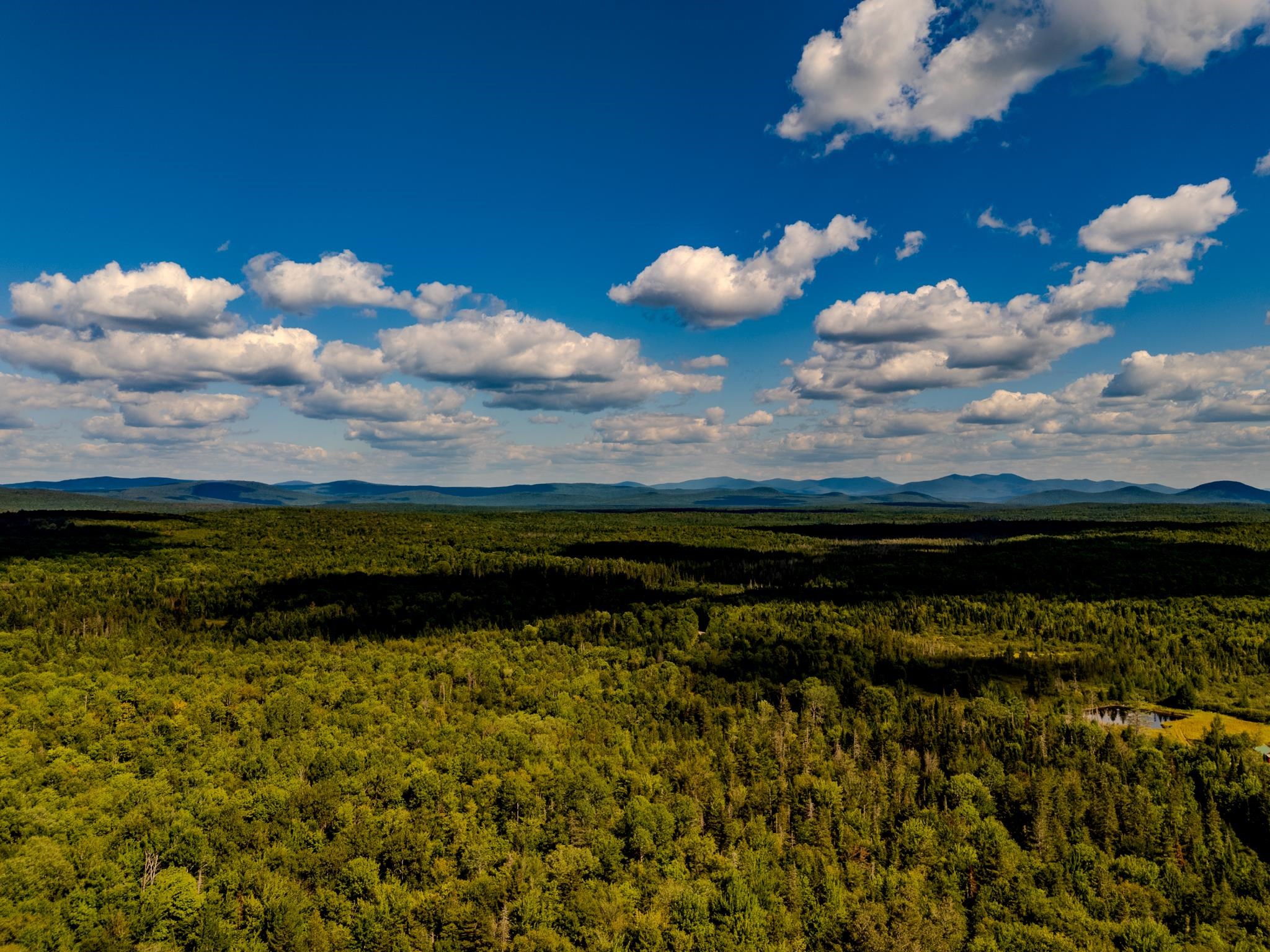 0 Henshaw Road Island Pond, VT 05846 - Photo 15 of 52
