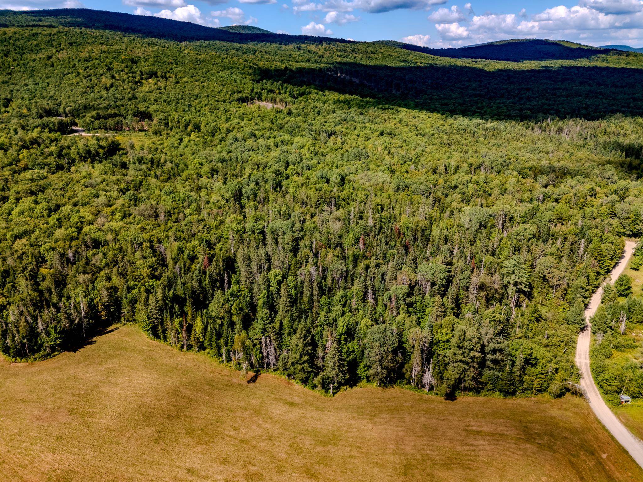0 Henshaw Road Island Pond, VT 05846 - Photo 18 of 52