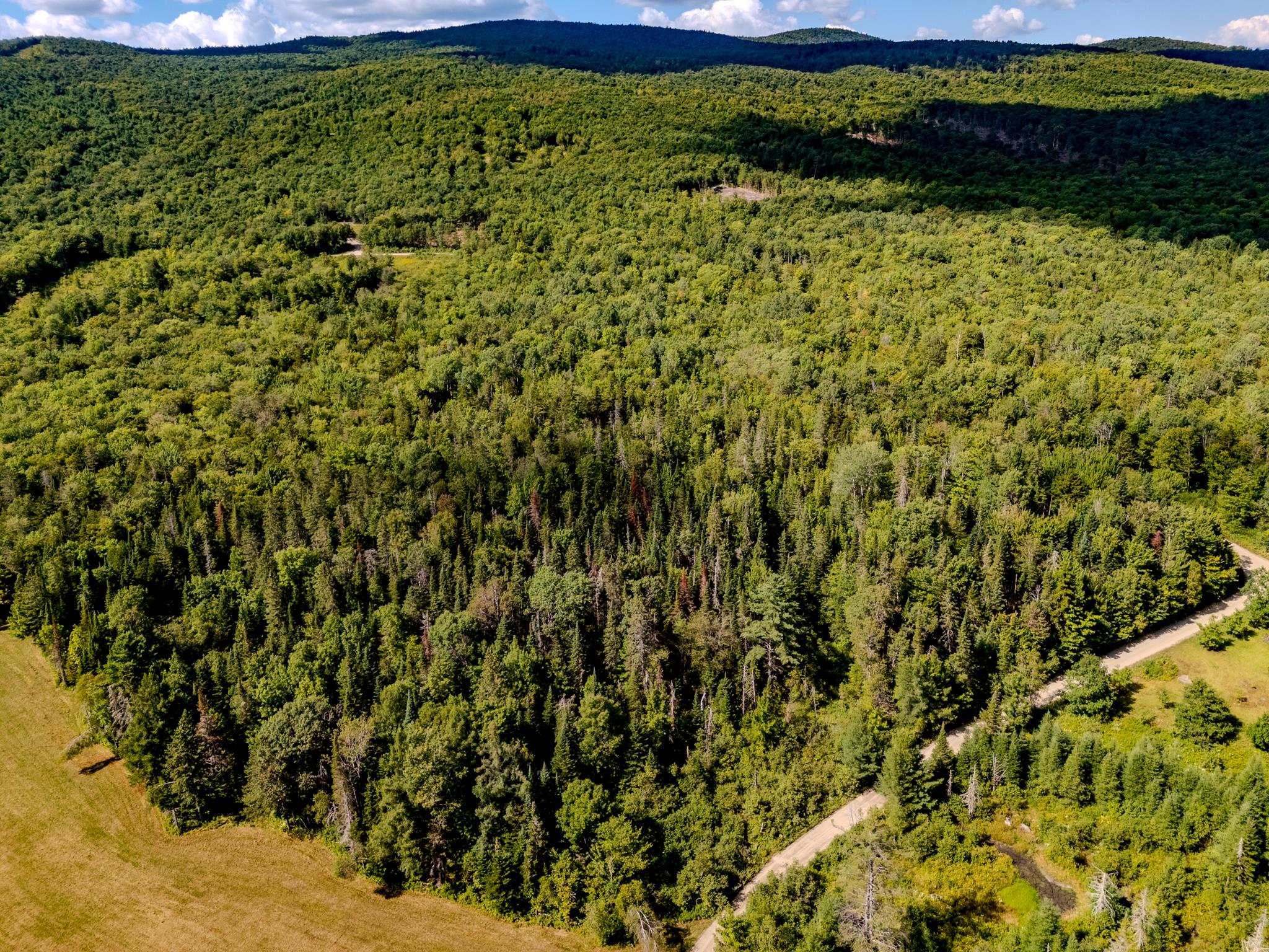 0 Henshaw Road Island Pond, VT 05846 - Photo 19 of 52