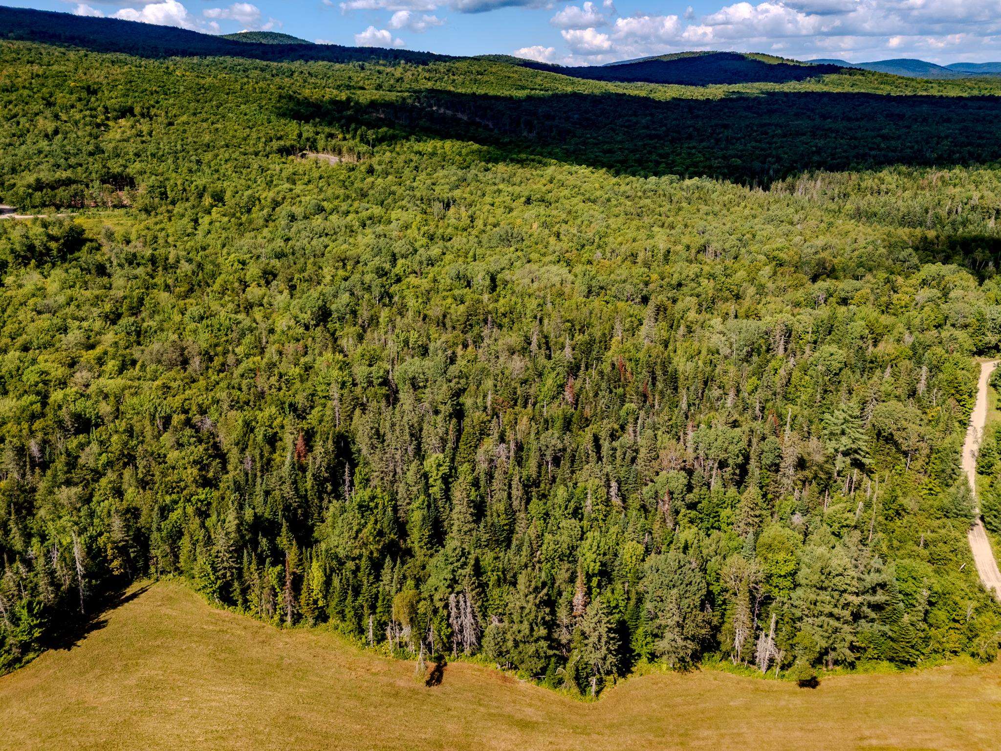 0 Henshaw Road Island Pond, VT 05846 - Photo 19 of 52