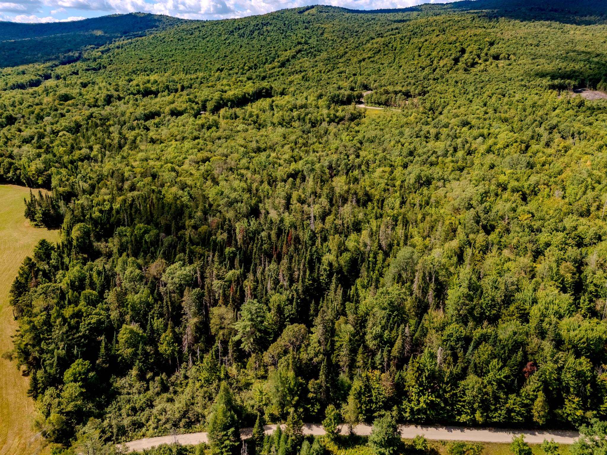 0 Henshaw Road Island Pond, VT 05846 - Photo 21 of 52