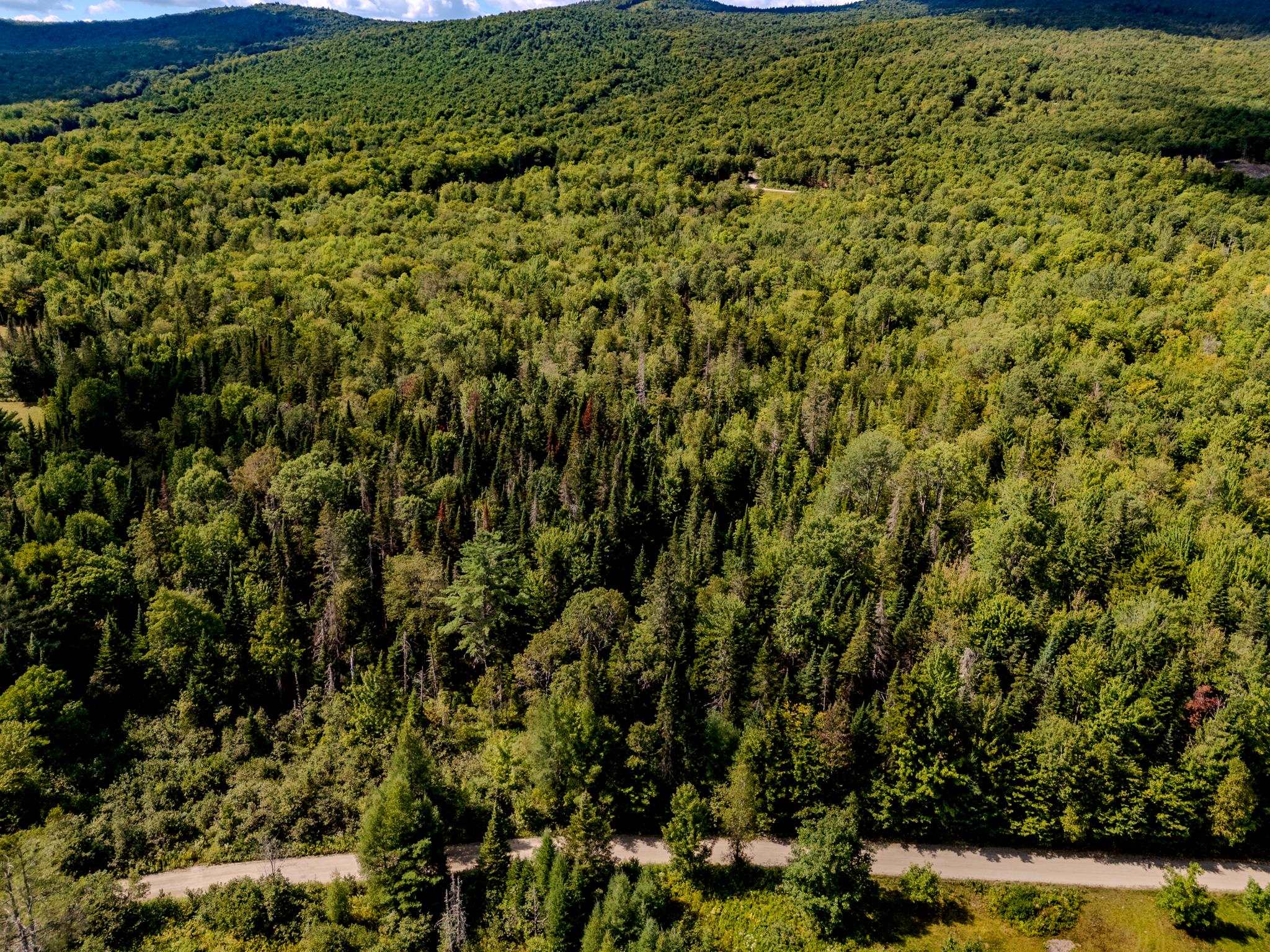 0 Henshaw Road Island Pond, VT 05846 - Photo 23 of 52