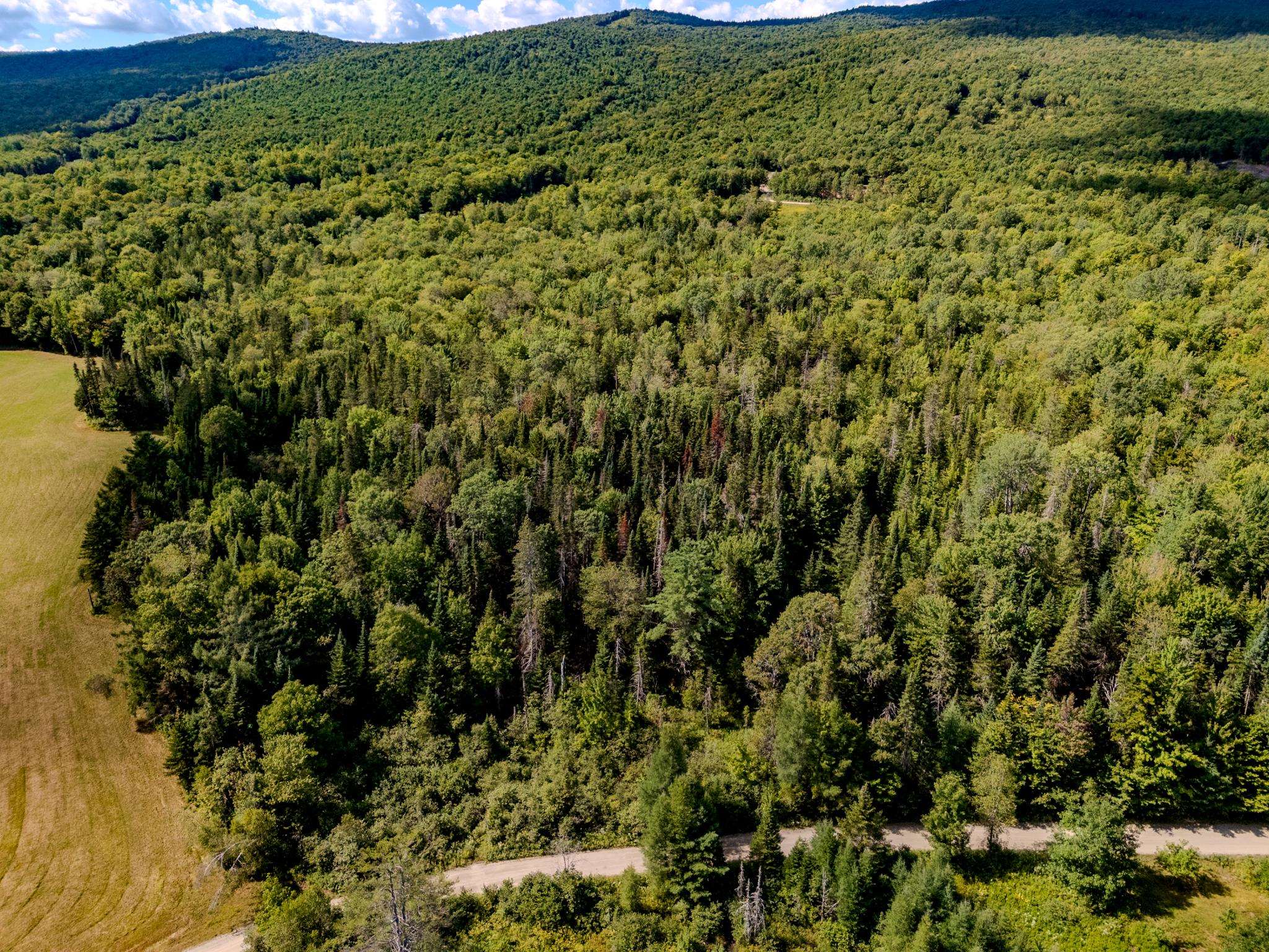 0 Henshaw Road Island Pond, VT 05846 - Photo 24 of 52