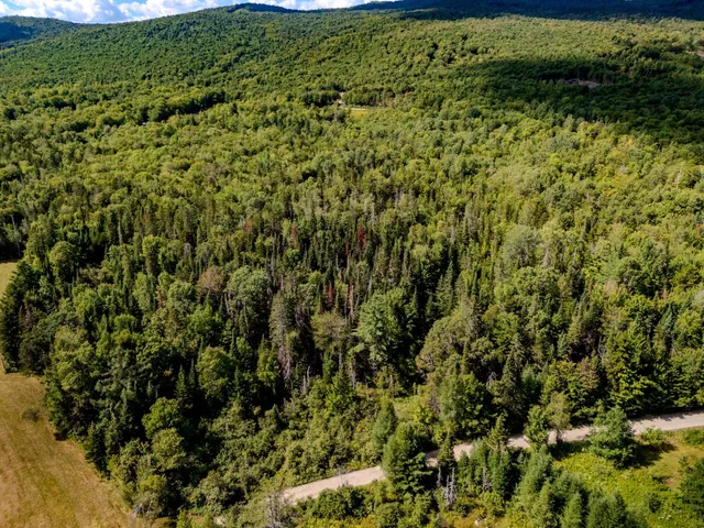 $110,000 | 0 Henshaw Road, Island Pond, VT 05846