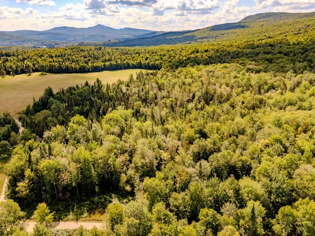 $110,000 | 0 Henshaw Road, Island Pond, VT 05846