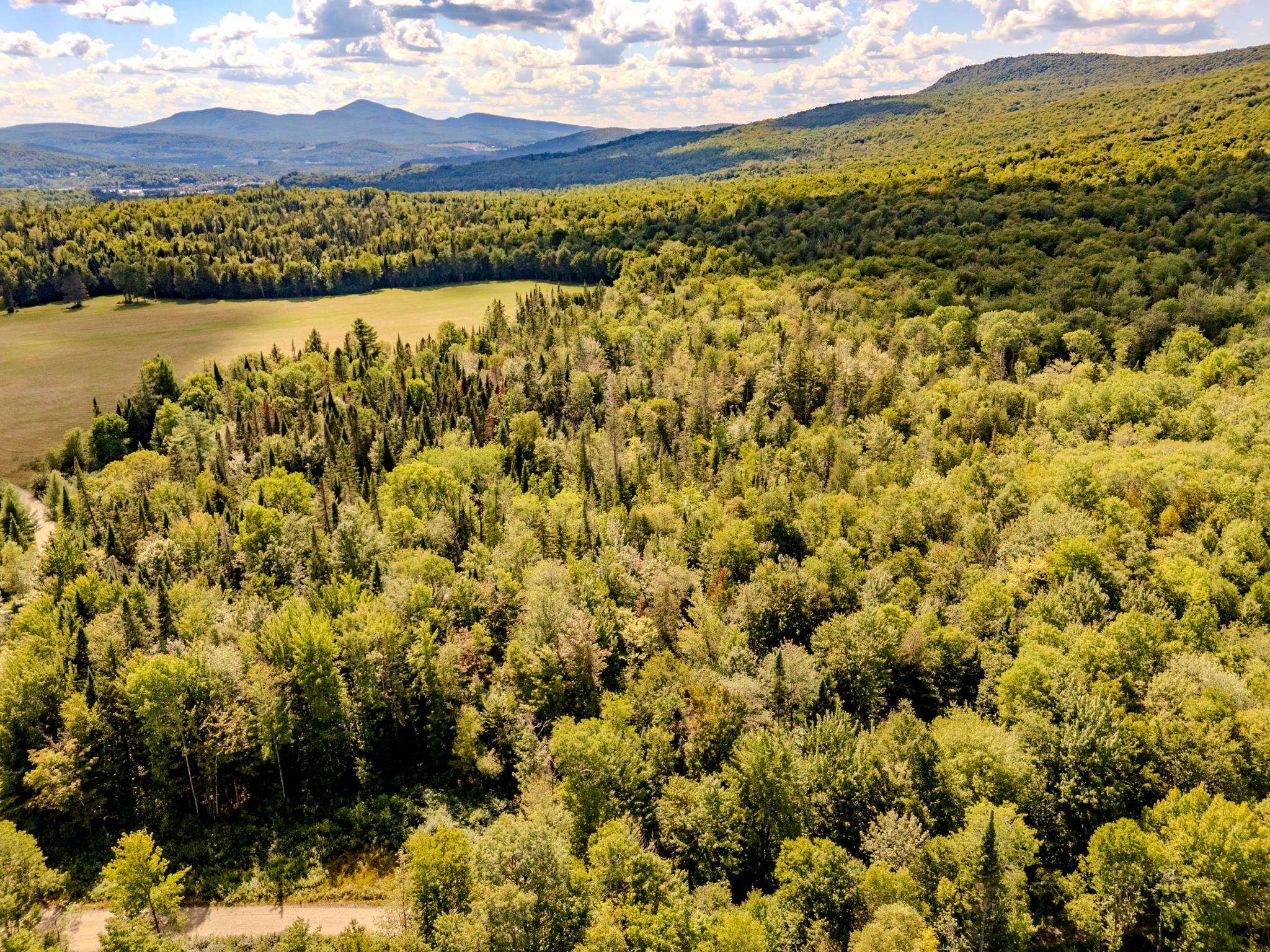 0 Henshaw Road Island Pond, VT 05846 - Photo 27 of 52
