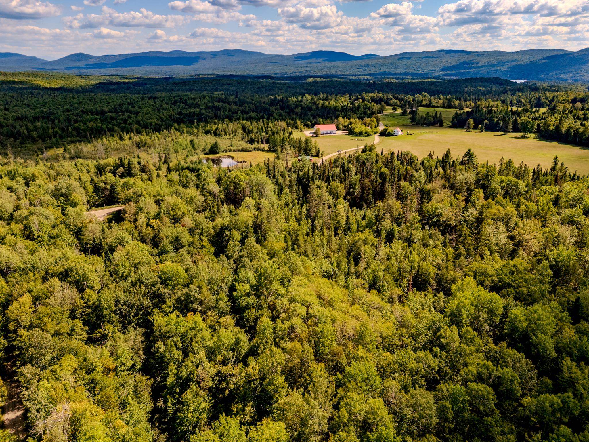 0 Henshaw Road Island Pond, VT 05846 - Photo 29 of 52