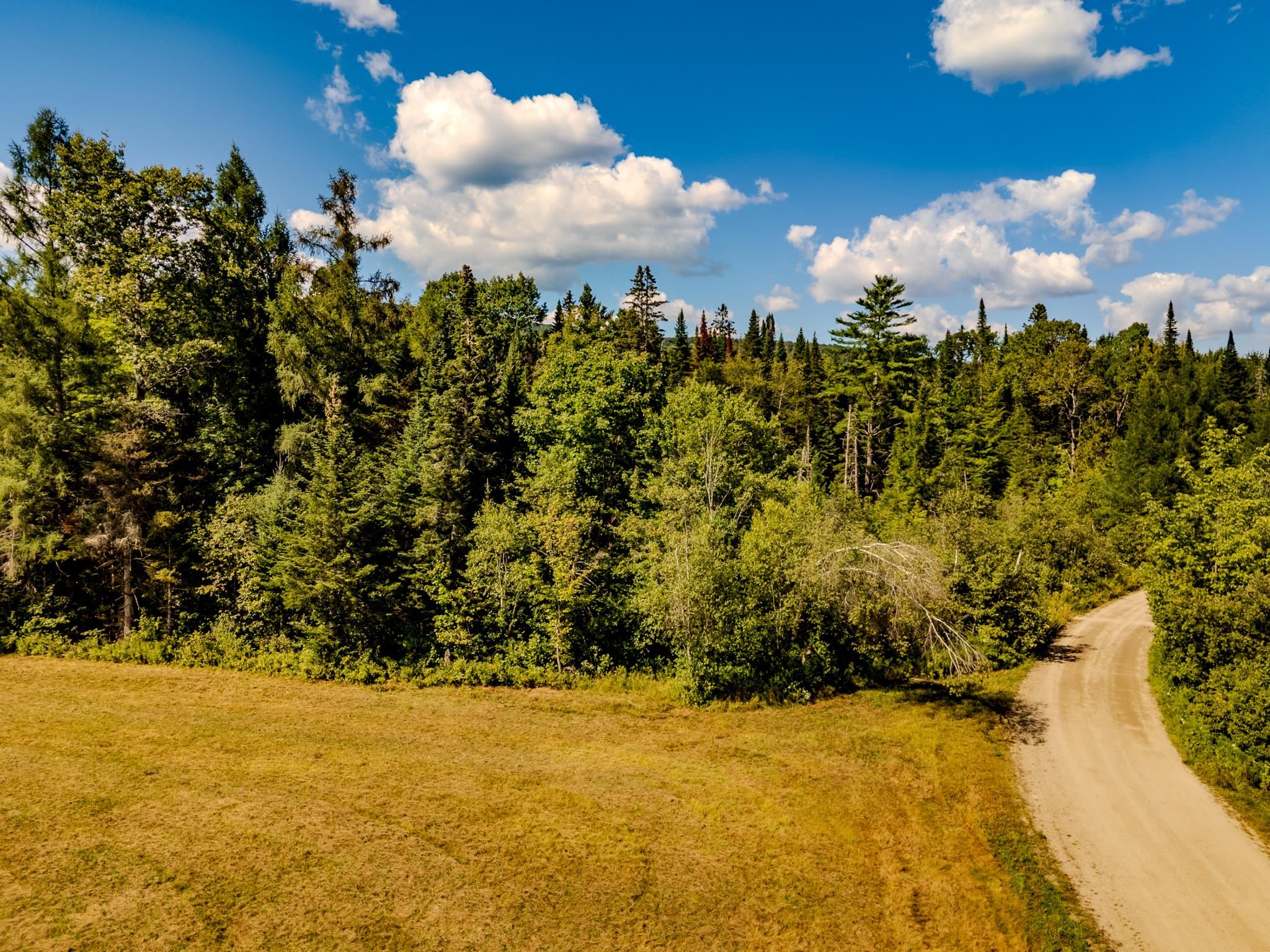 0 Henshaw Road Island Pond, VT 05846 - Photo 32 of 52