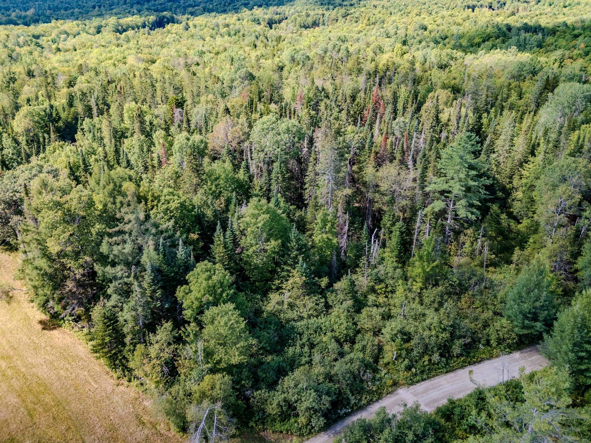 0 Henshaw Road Island Pond, VT 05846 - Photo 34 of 52