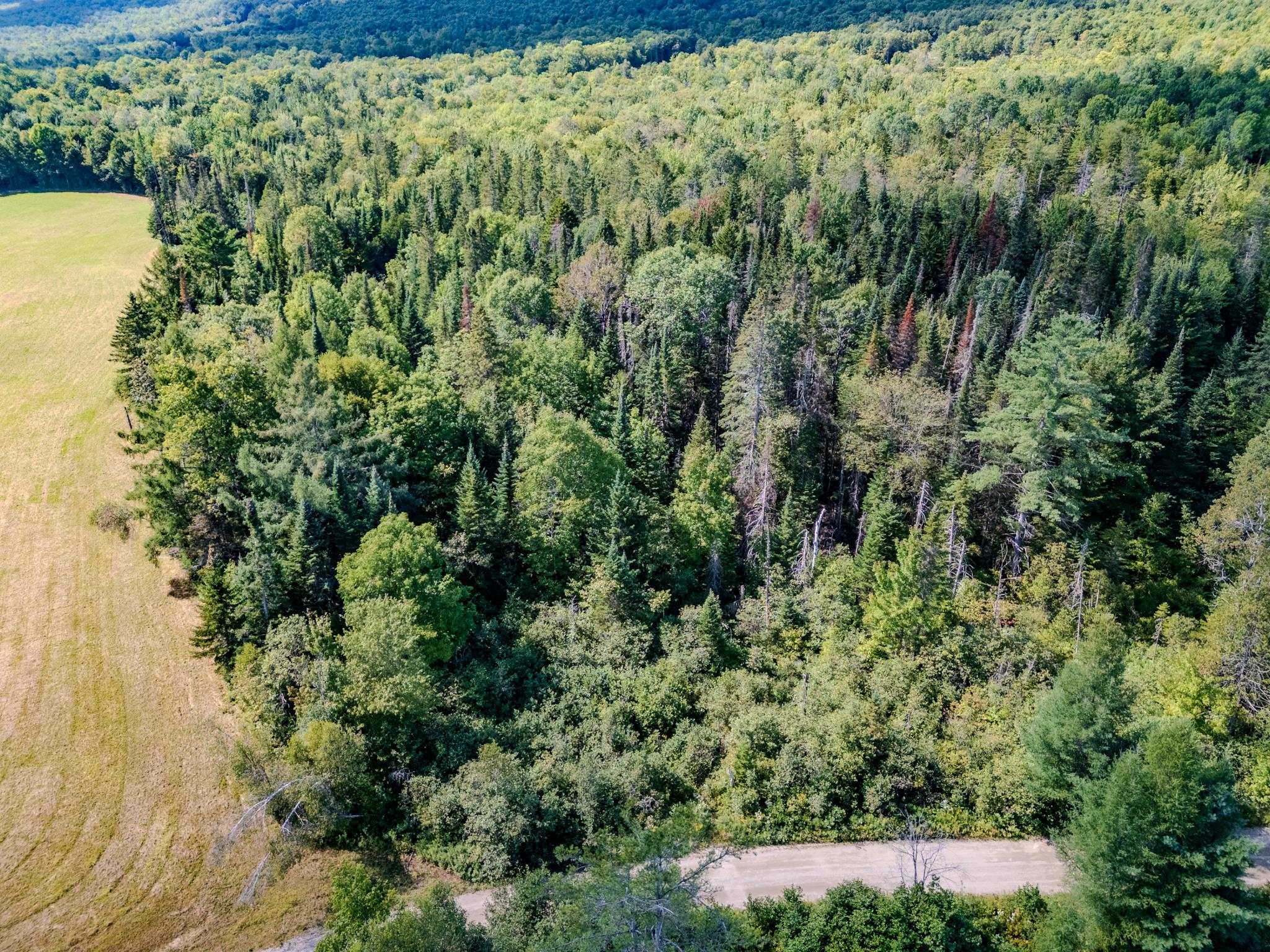 0 Henshaw Road Island Pond, VT 05846 - Photo 35 of 52