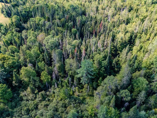 $110,000 | 0 Henshaw Road, Island Pond, VT 05846