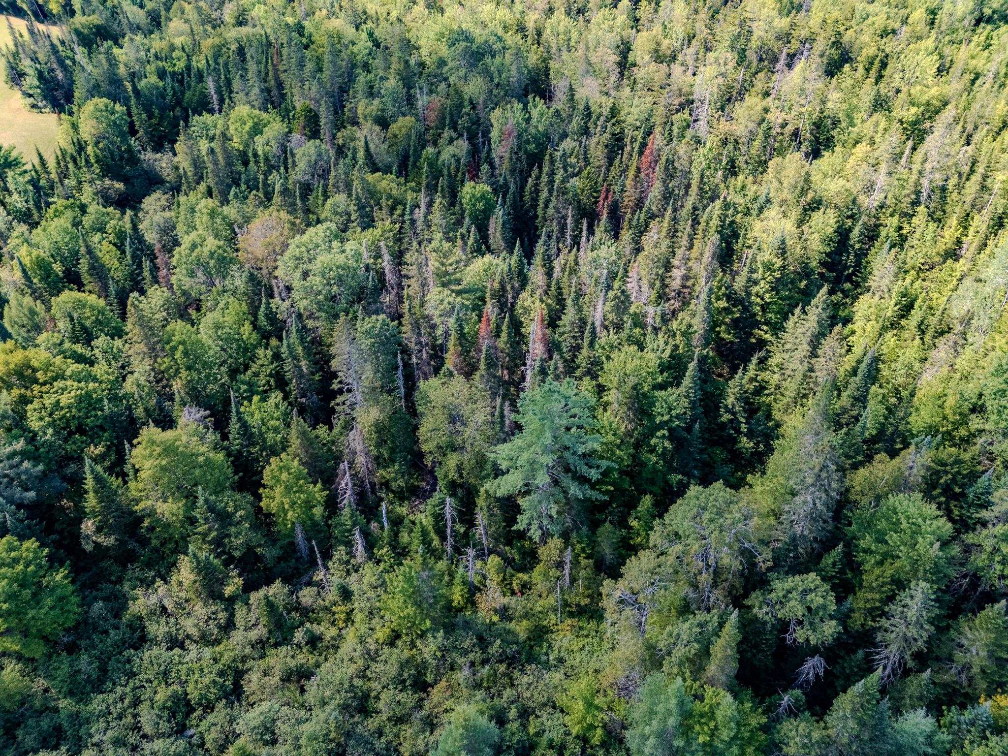 0 Henshaw Road Island Pond, VT 05846 - Photo 36 of 52