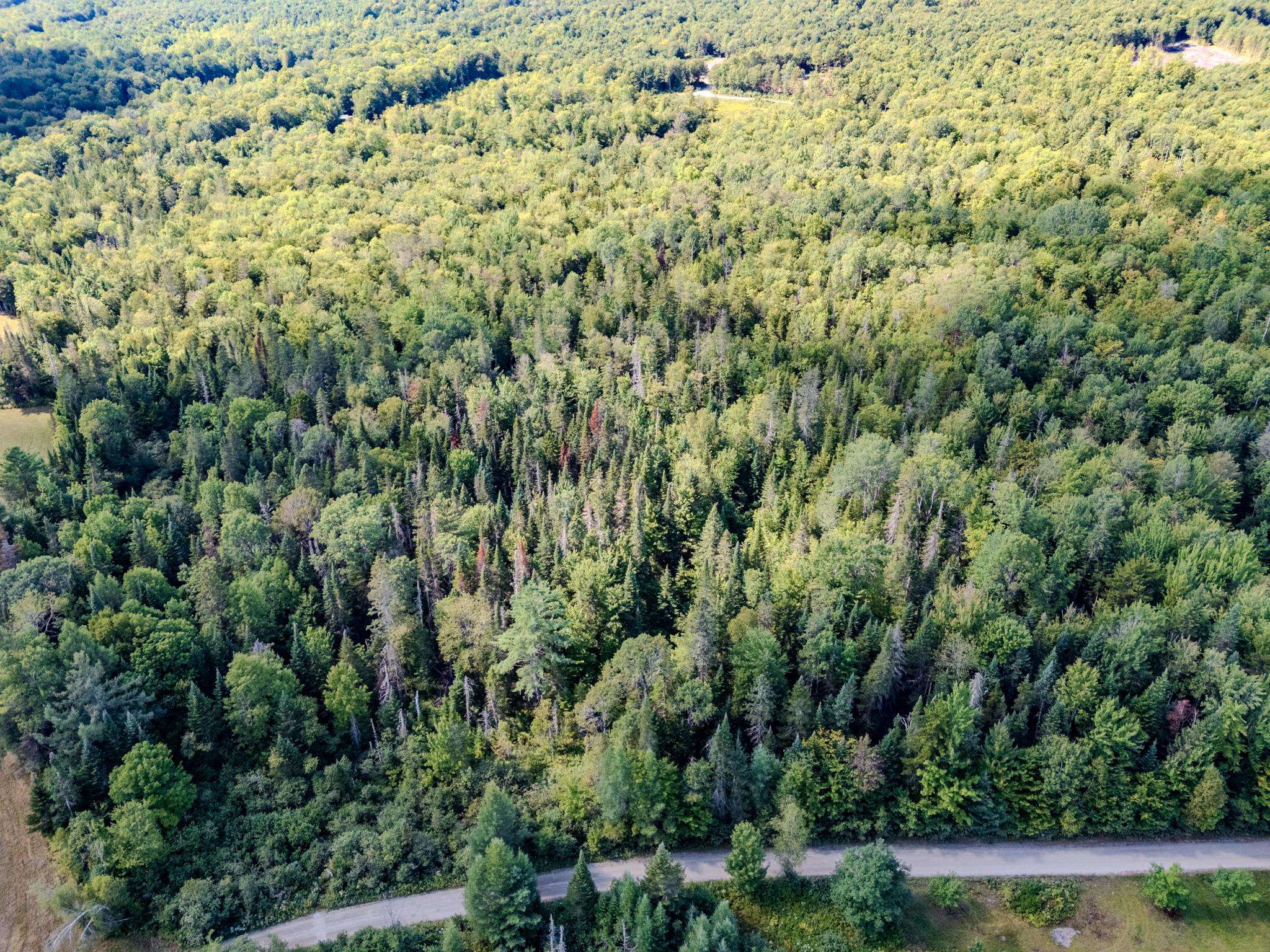 0 Henshaw Road Island Pond, VT 05846 - Photo 38 of 52