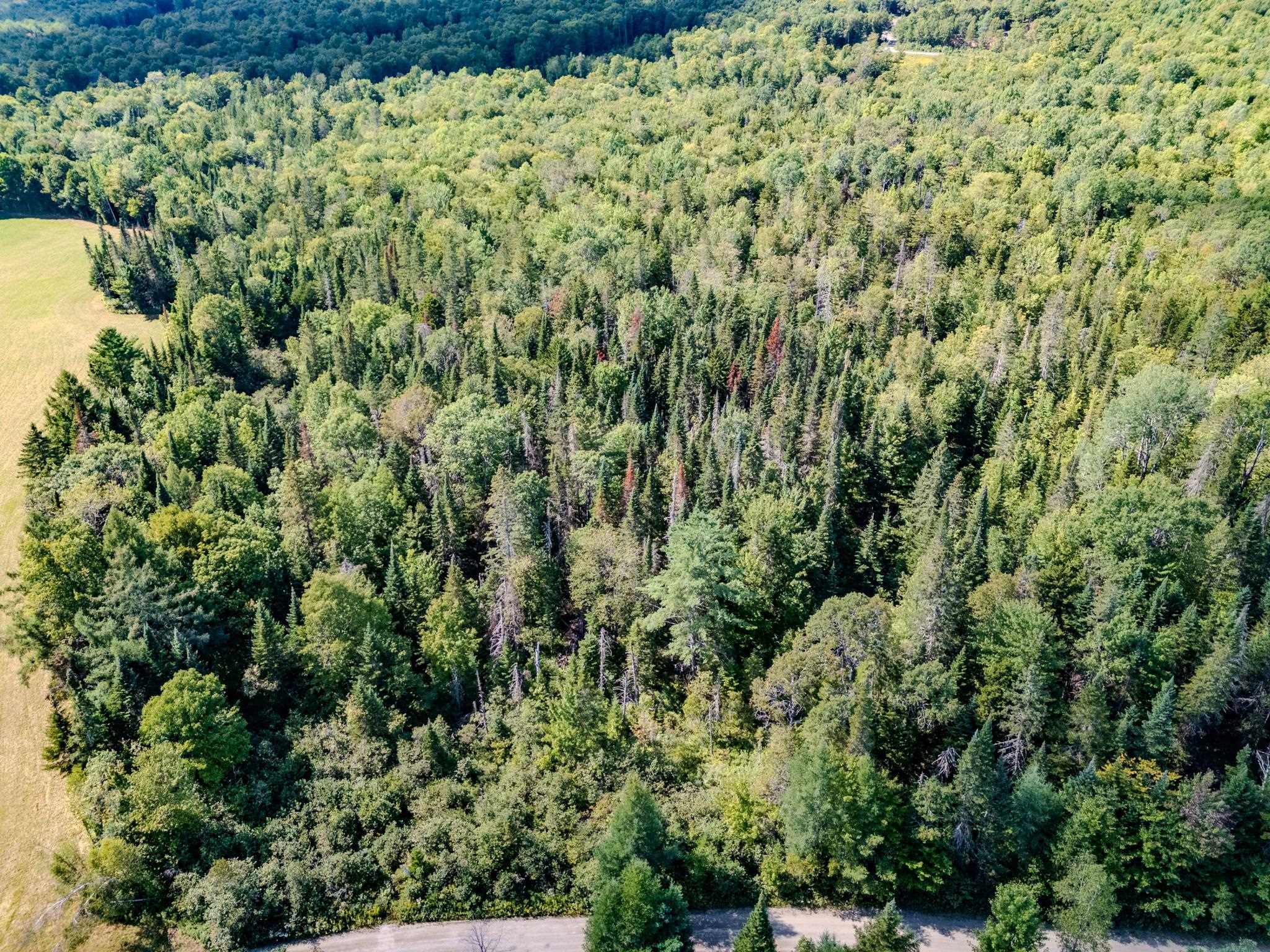 0 Henshaw Road Island Pond, VT 05846 - Photo 38 of 52