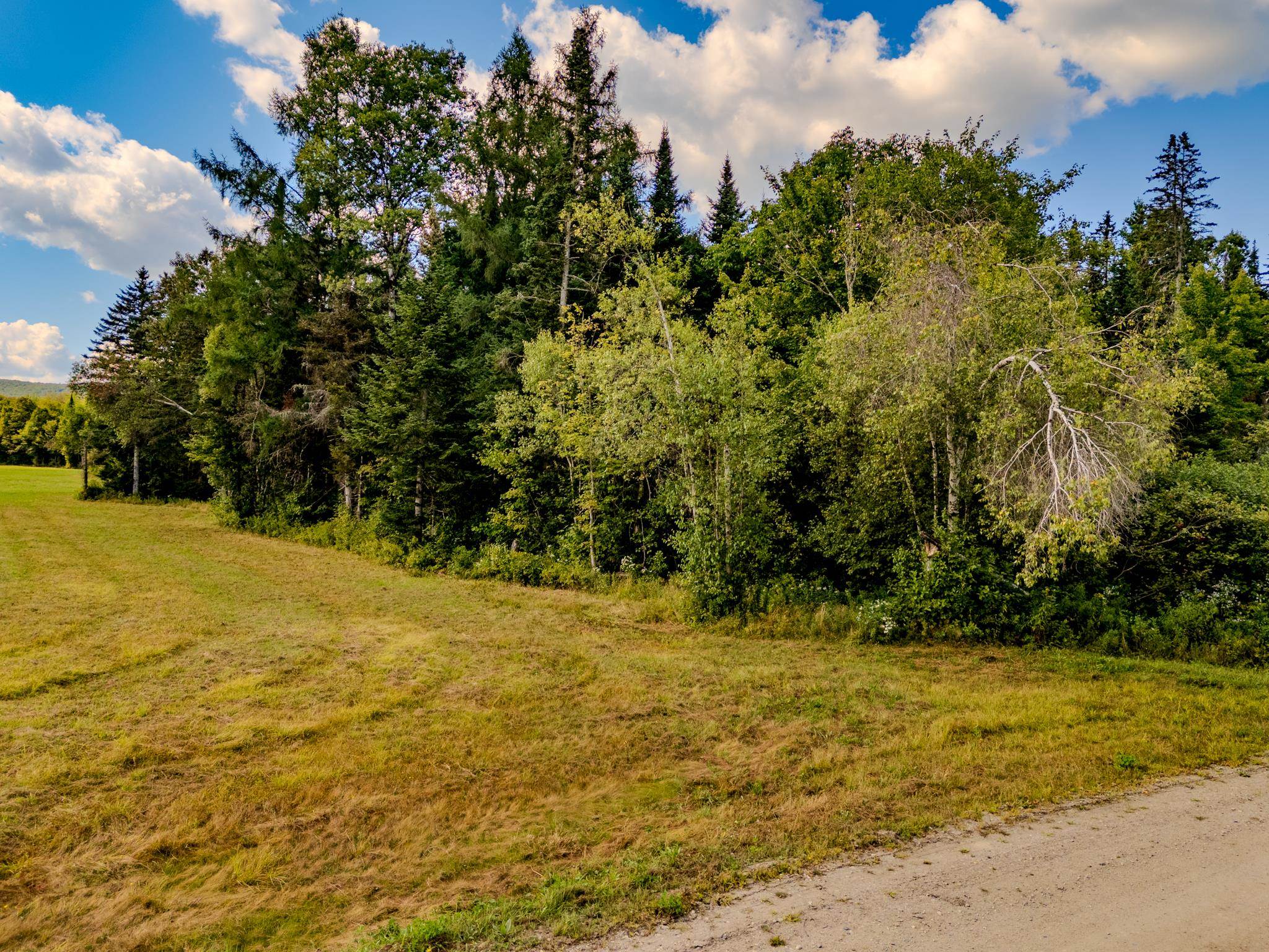 0 Henshaw Road Island Pond, VT 05846 - Photo 4 of 52