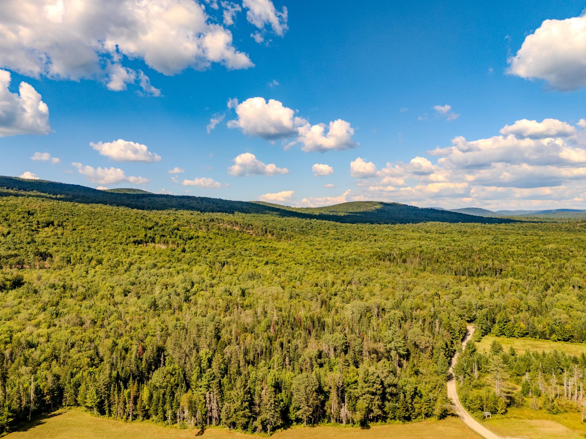 0 Henshaw Road Island Pond, VT 05846 - Photo 41 of 52
