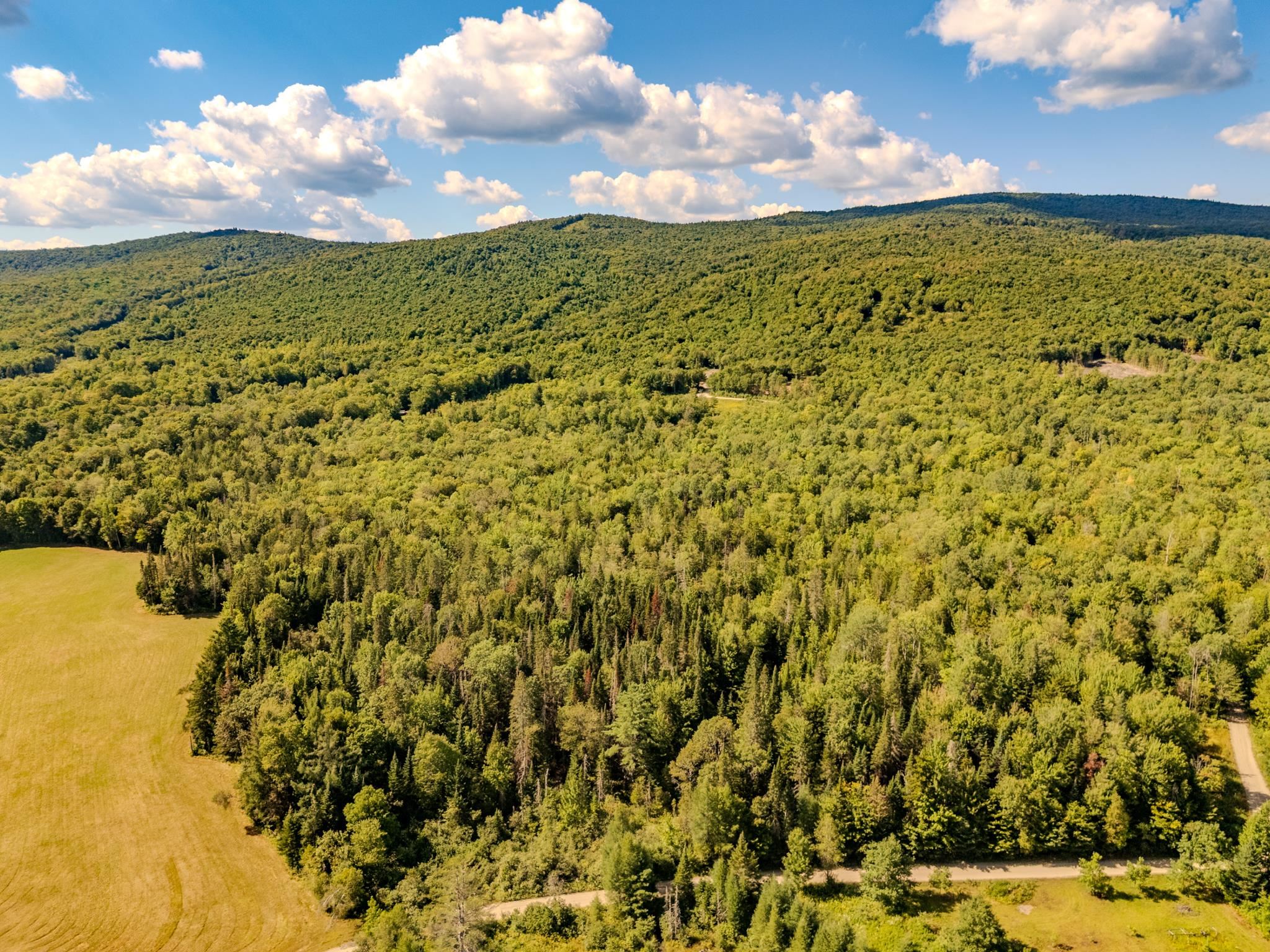 0 Henshaw Road Island Pond, VT 05846 - Photo 41 of 52