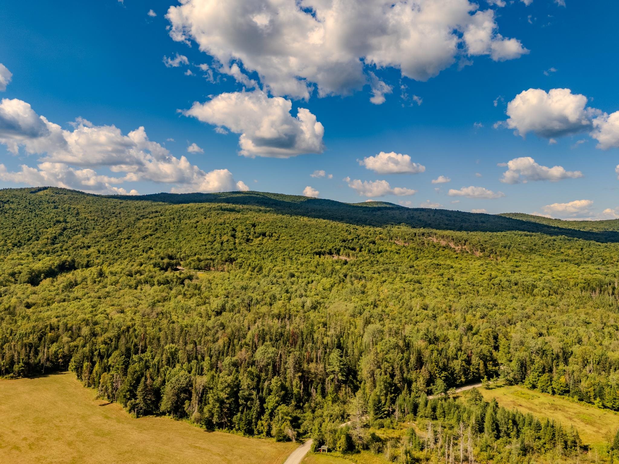 0 Henshaw Road Island Pond, VT 05846 - Photo 43 of 52