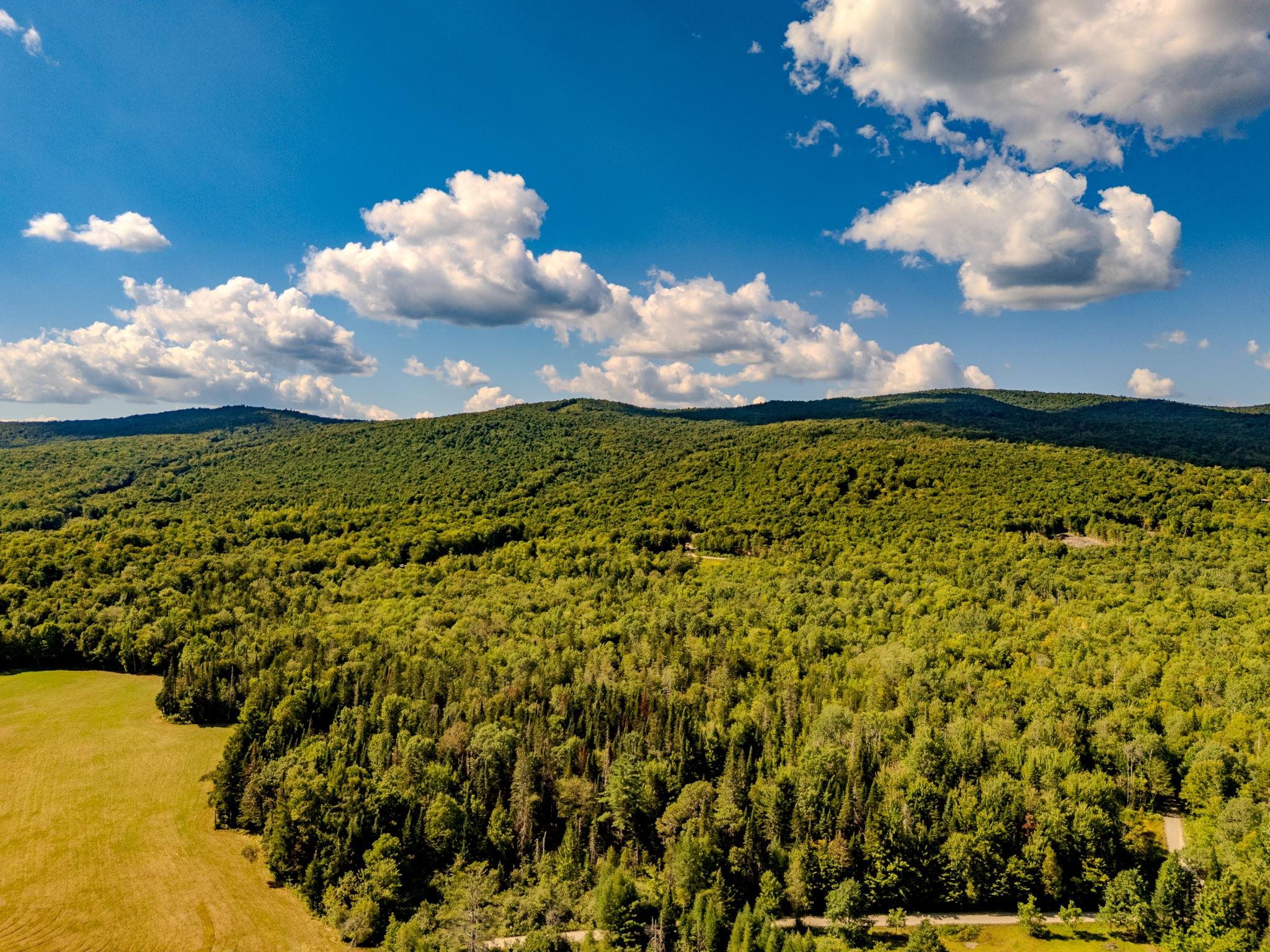 0 Henshaw Road Island Pond, VT 05846 - Photo 43 of 52
