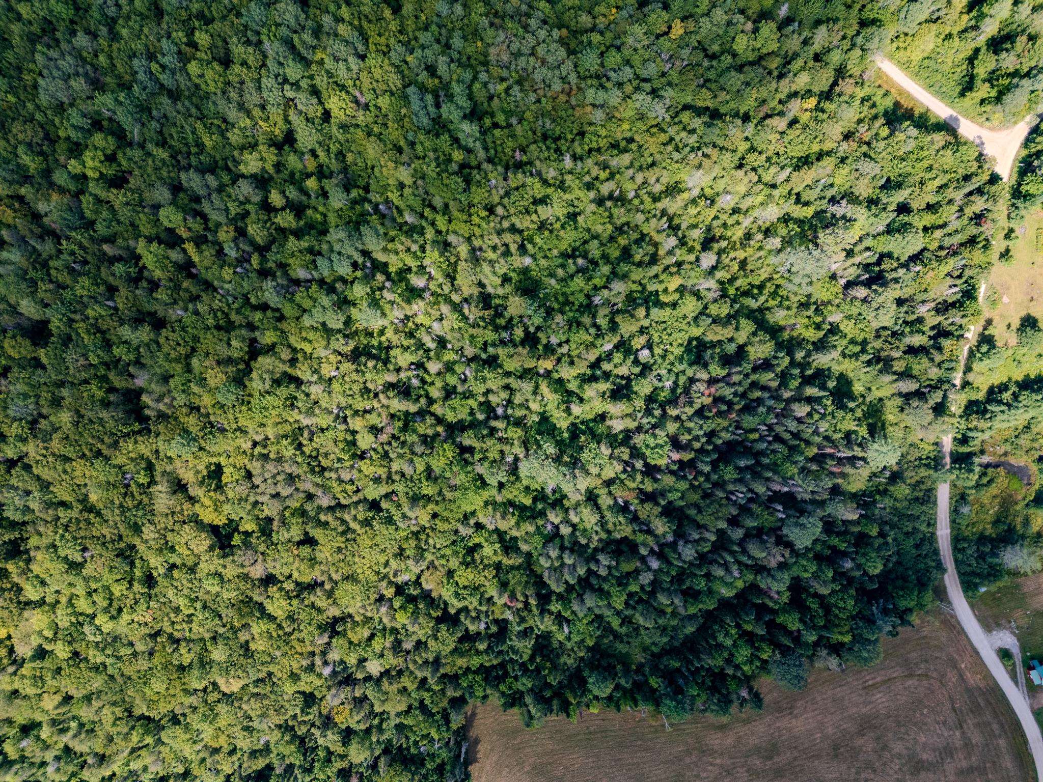0 Henshaw Road Island Pond, VT 05846 - Photo 7 of 52