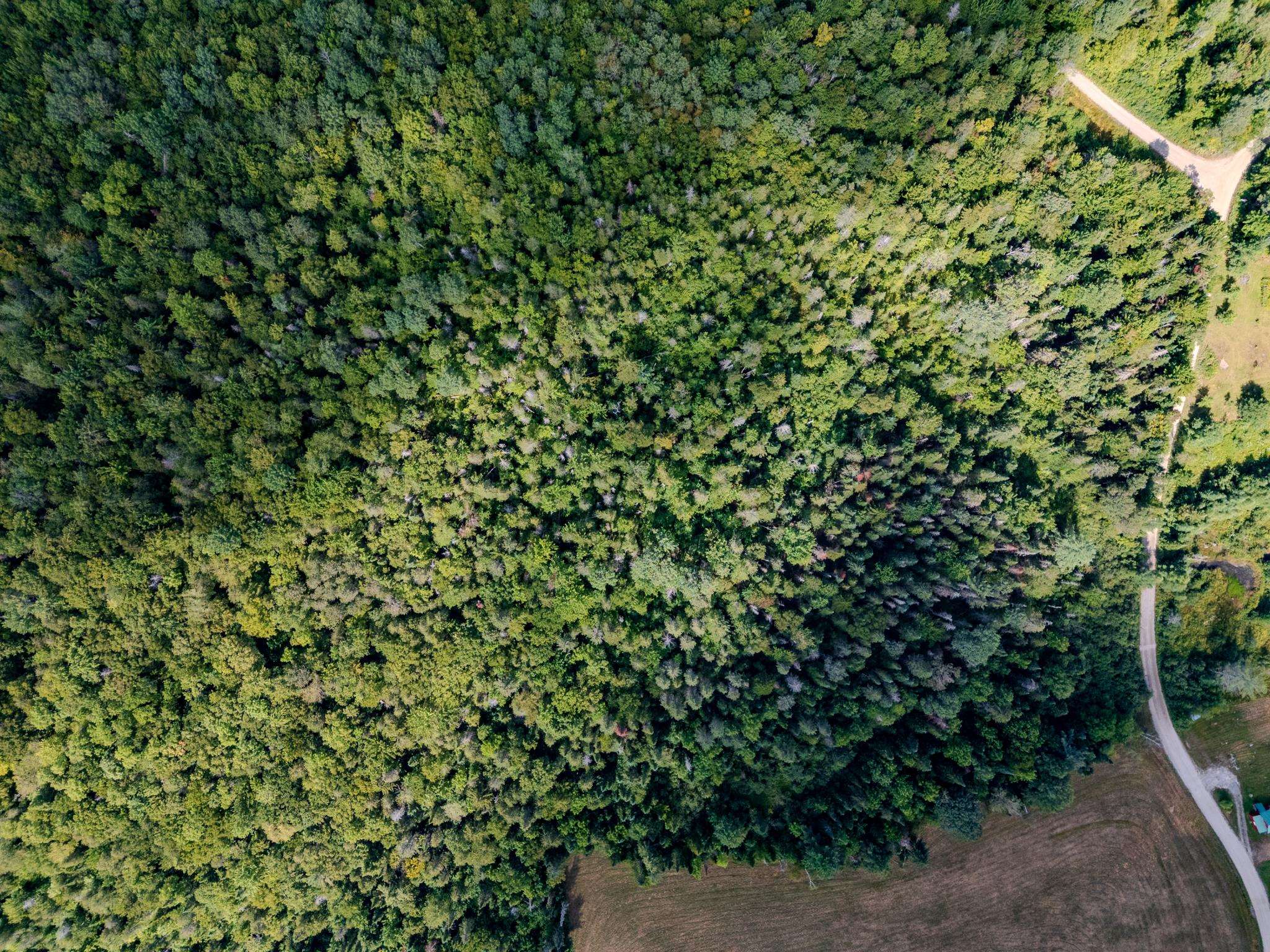 0 Henshaw Road Island Pond, VT 05846 - Photo 9 of 52