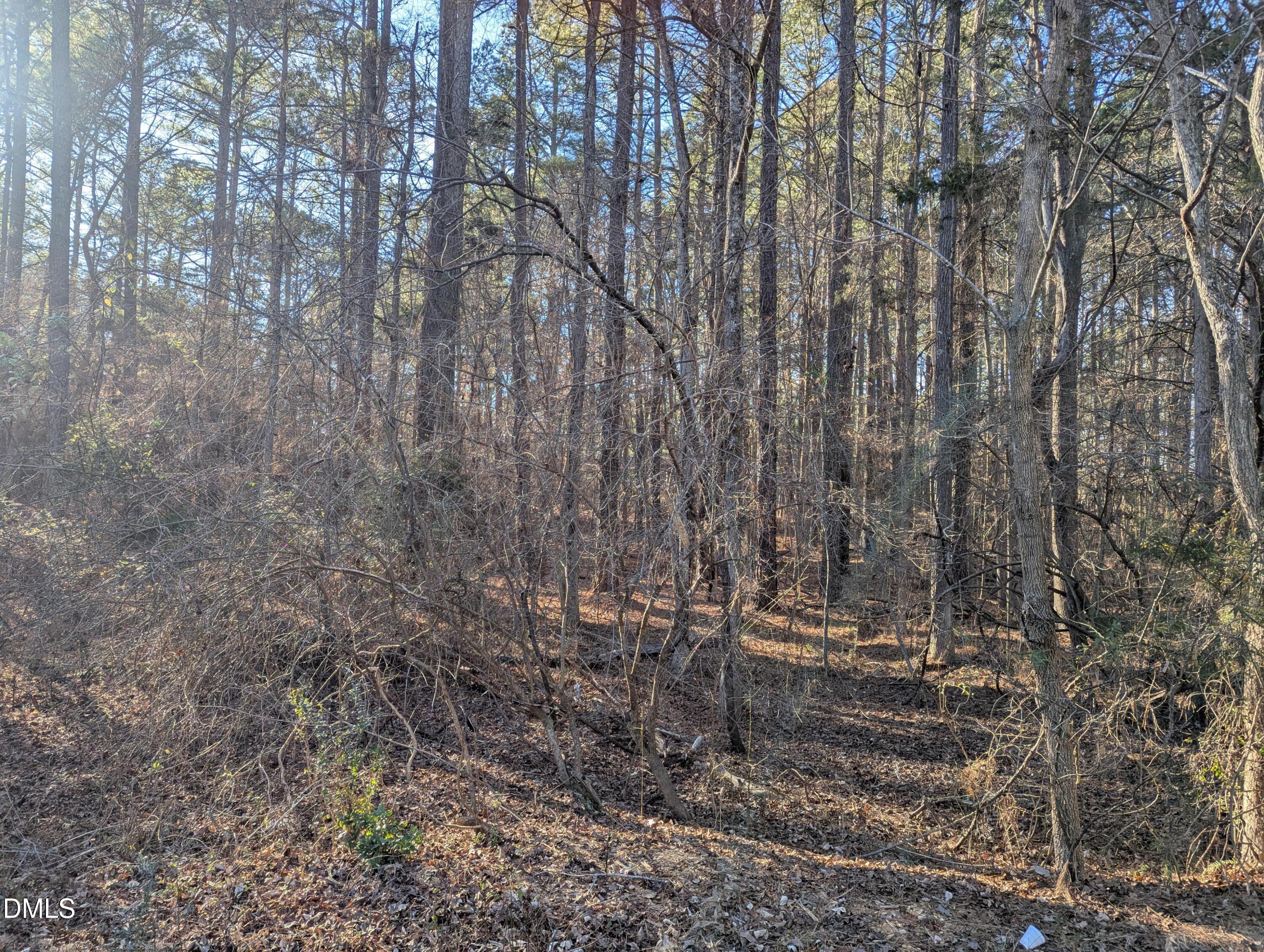 a view of outdoor space and a yard