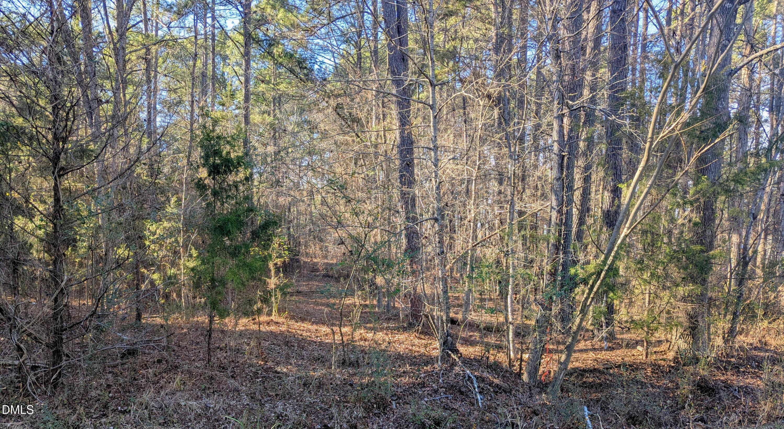 0 Shocco Springs Road Warrenton, NC 27589 - Photo 2 of 3 a backyard of a house with lots of green space