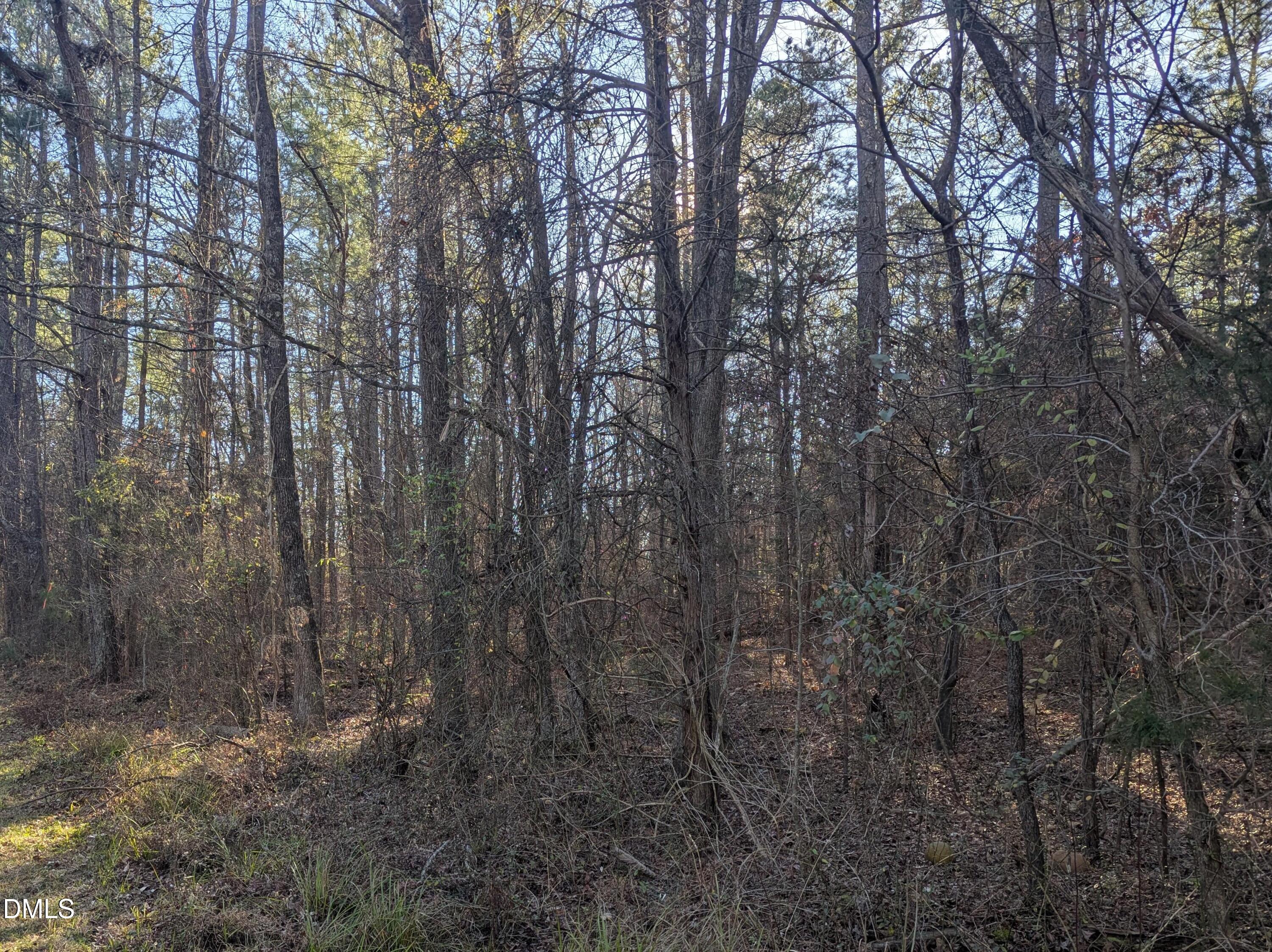 0 Shocco Springs Road Warrenton, NC 27589 - Photo 3 of 3 a view of forest