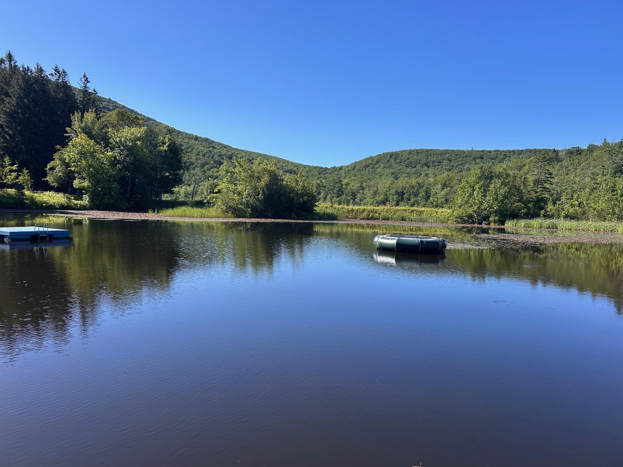 509 Thompson Pond Road Pownal, VT 05261 - Photo 7 of 41