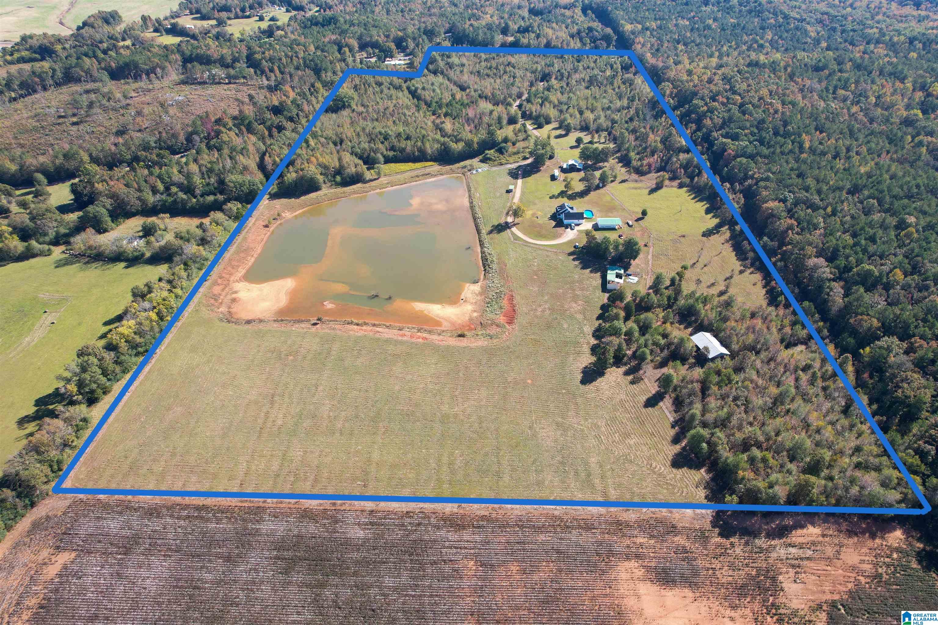 1450 Rendalia Motorway Talladega, AL 35160 - Photo 14 of 64