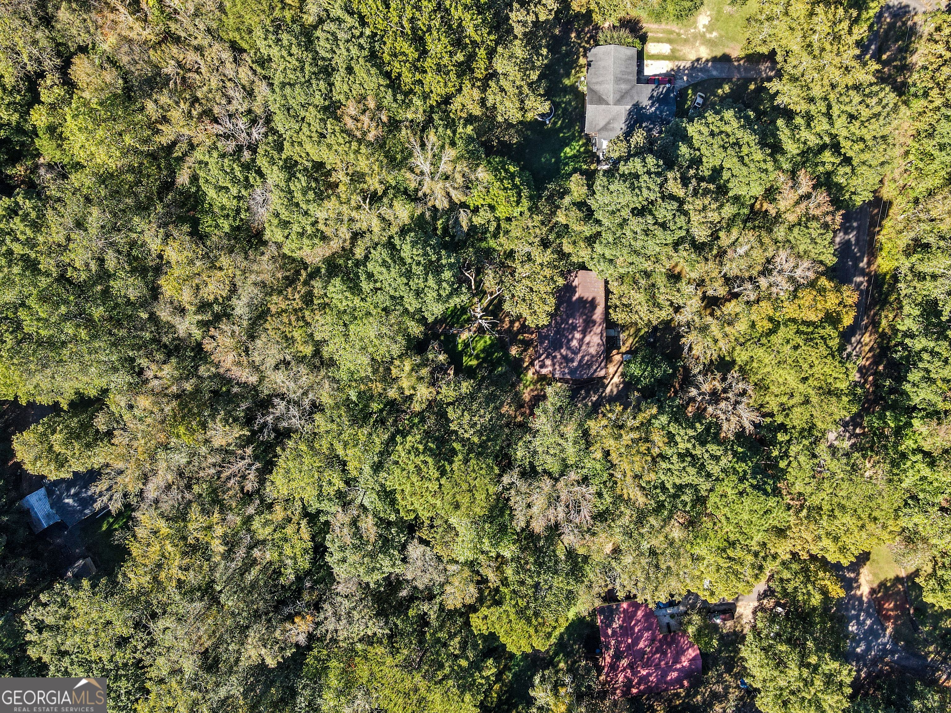 808 South Fling Road LaGrange, GA 30240 - Photo 35 of 35 a view of a yard