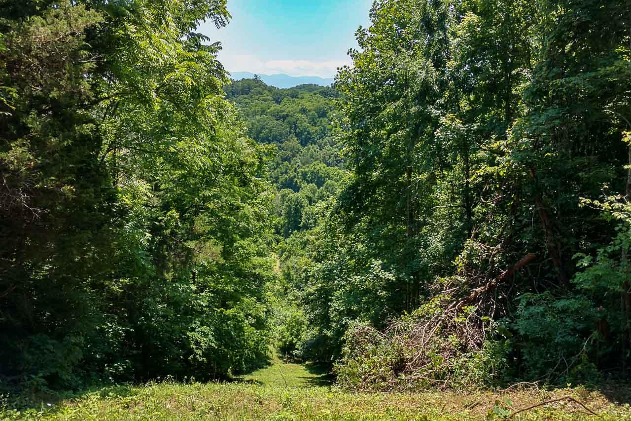 P34 Reed Schoolhouse Road Sevierville, TN 37876 - Photo 1 of 19 01