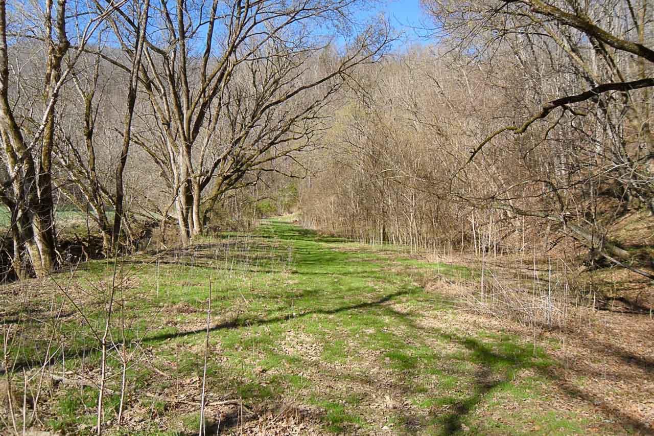 P34 Reed Schoolhouse Road Sevierville, TN 37876 - Photo 2 of 19 02